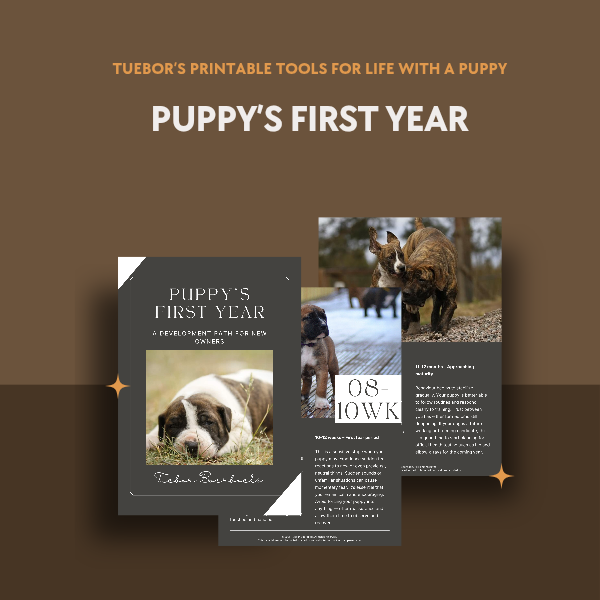 Puppy's First Year
