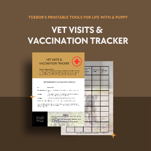 Vet Visits & Vaccination Tracker